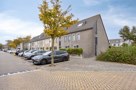 Jan Bijhouwerstraat thumbnail