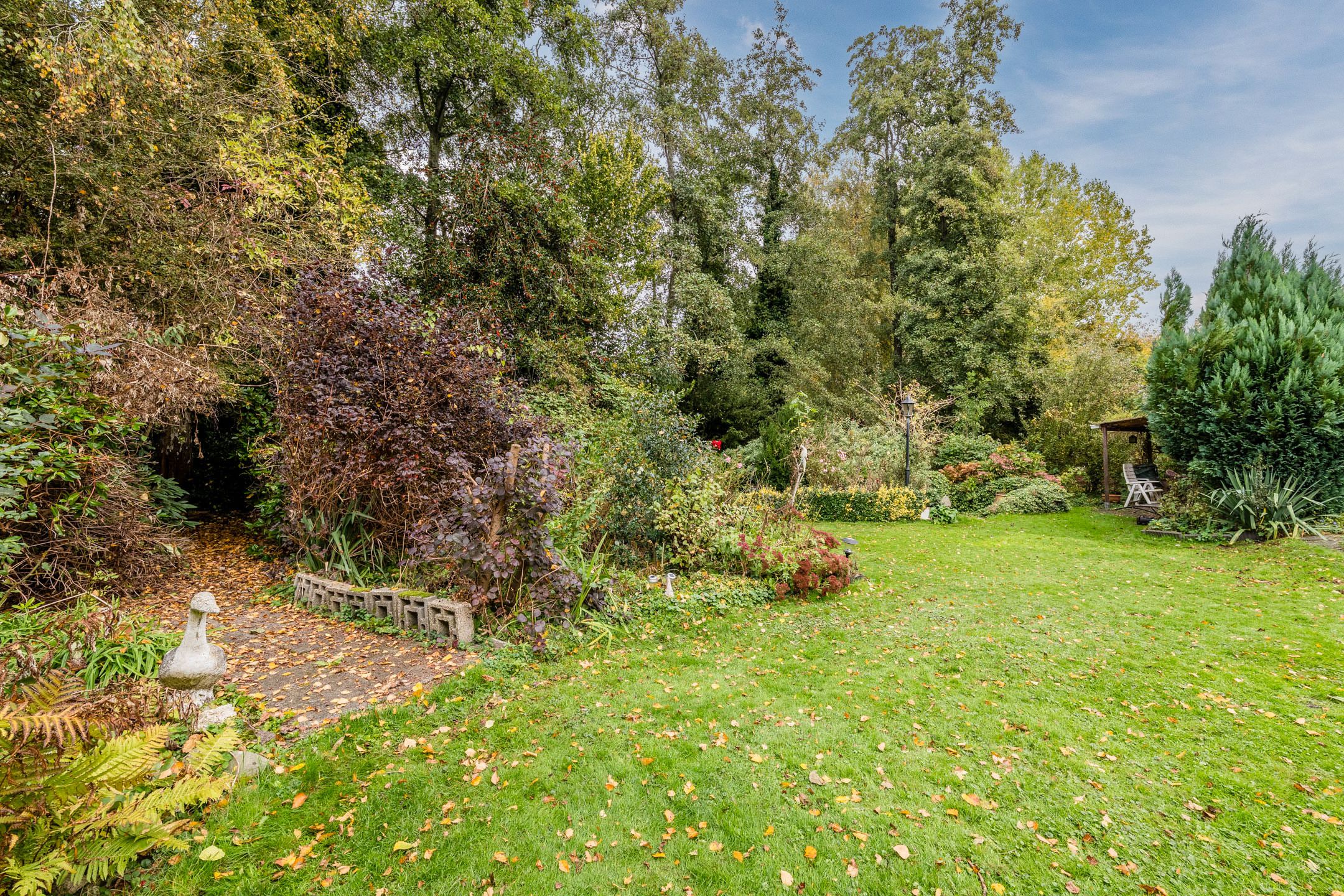 Foto 45 van Zuiderveensterweg 31