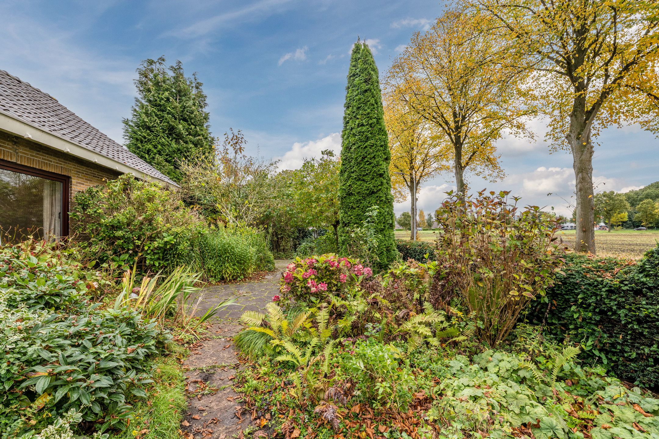 Foto 48 van Zuiderveensterweg 31