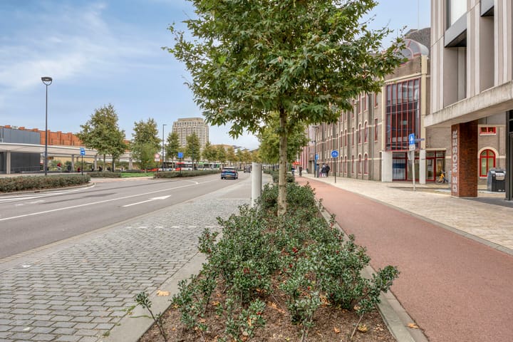 Foto 21 van Spoorlaan 450-25