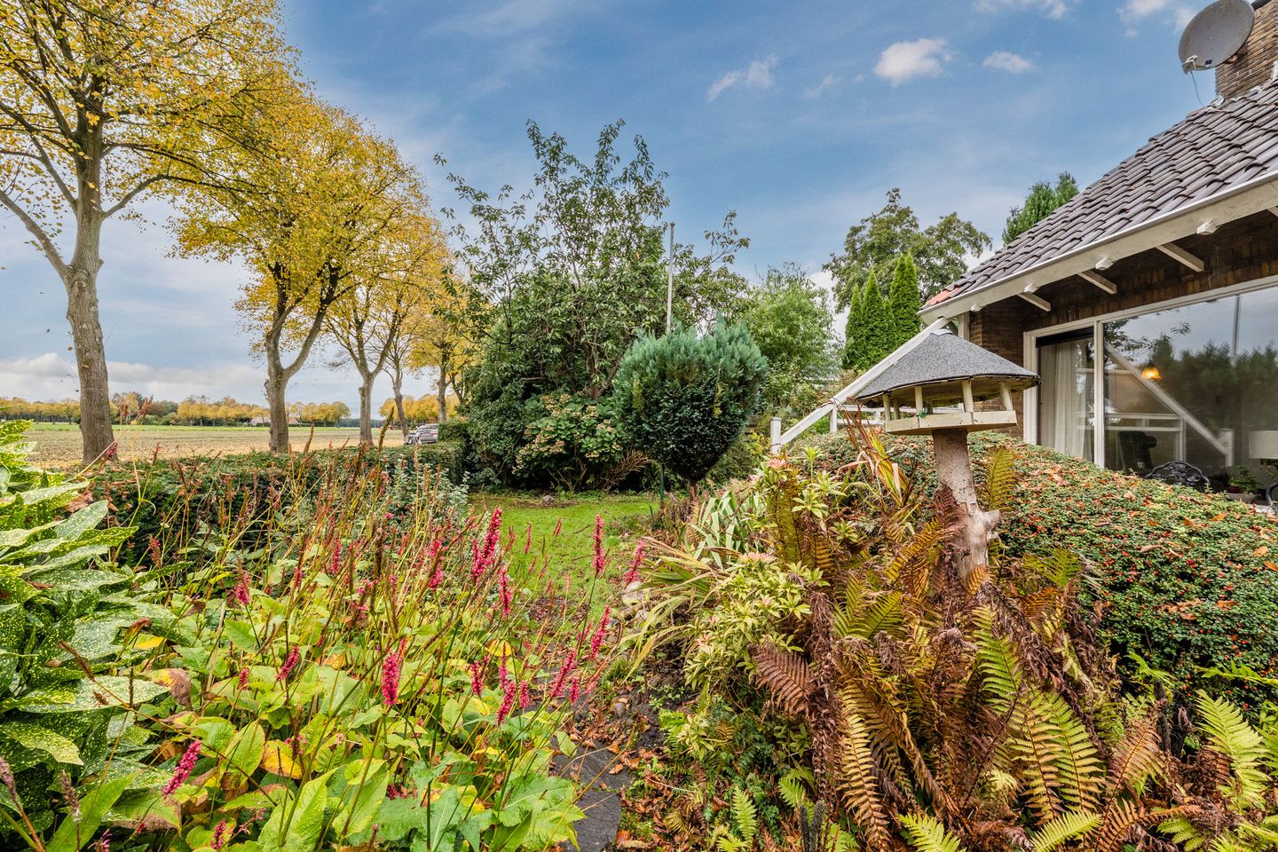 Foto 49 van Zuiderveensterweg 31