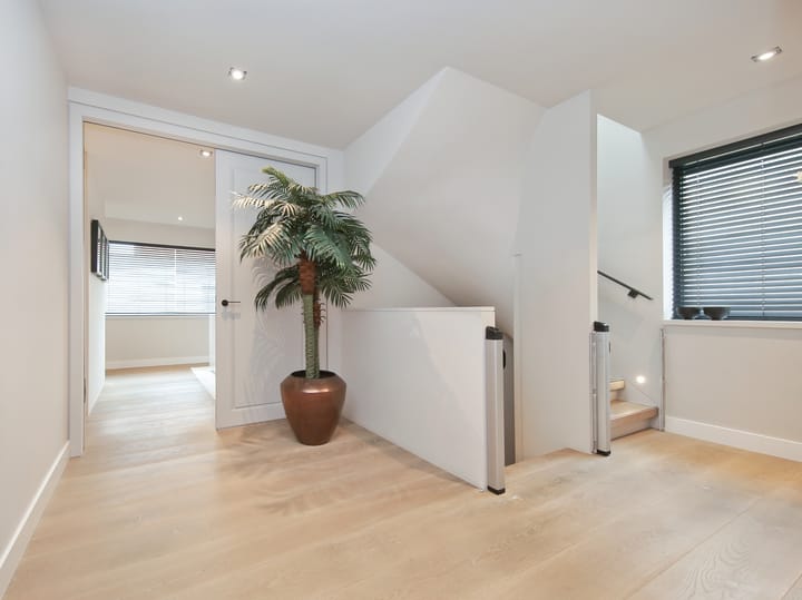 Photo 60 of Ranonkelstraat 3