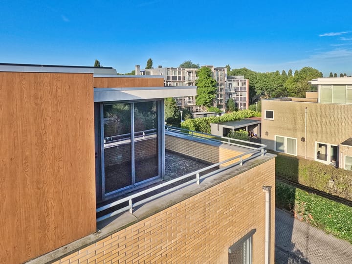 Photo 80 of Ranonkelstraat 3