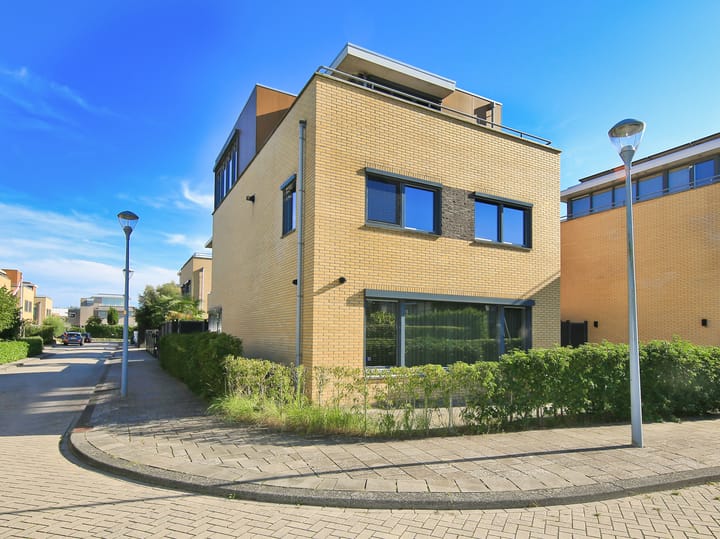 Photo 82 of Ranonkelstraat 3