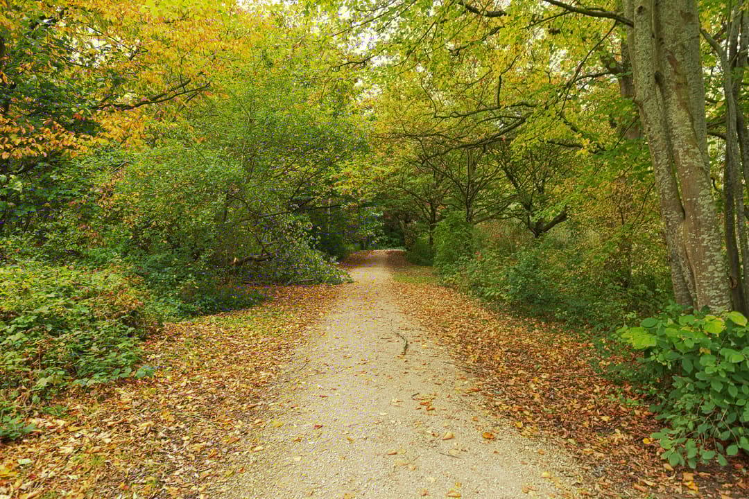 Photo 7 of Kastanjelaan 16-C