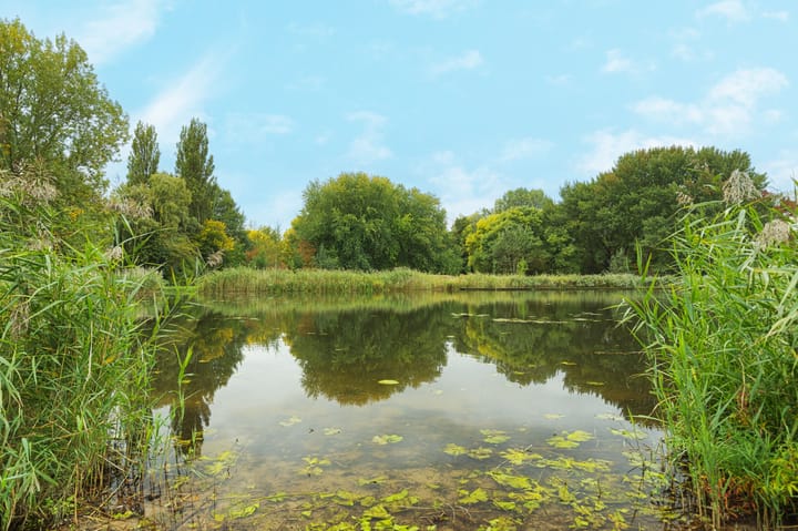 Foto 40 van Kastanjelaan 16-C