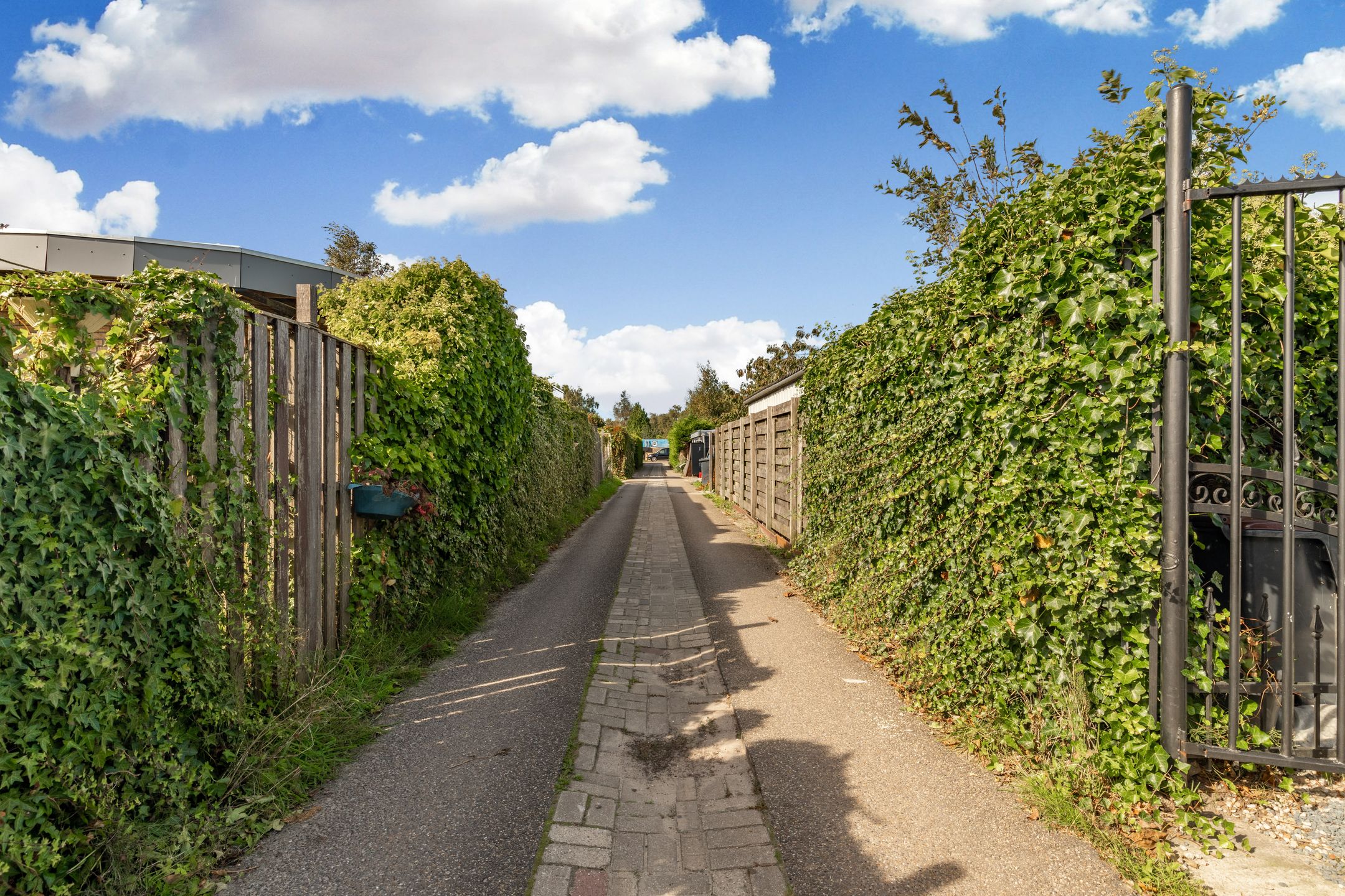 Foto 21 van Zonnehoek 36-A