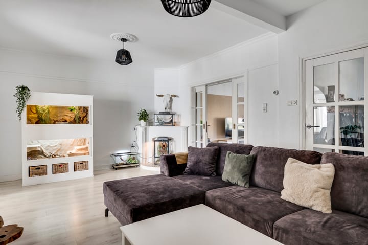 Foto 8 van Prins Mauritslaan 117