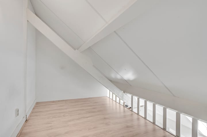 Foto 44 van Prins Mauritslaan 117