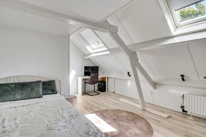 Foto 45 van Prins Mauritslaan 117