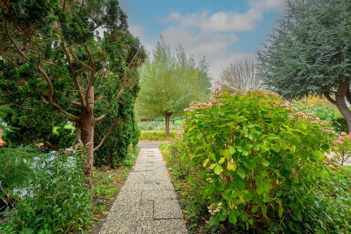 Foto 34 van Wilgenlaan 43