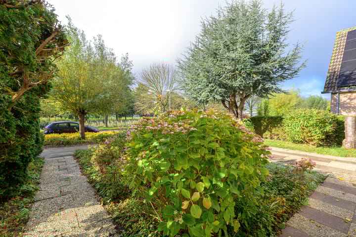 Foto 42 van Wilgenlaan 43