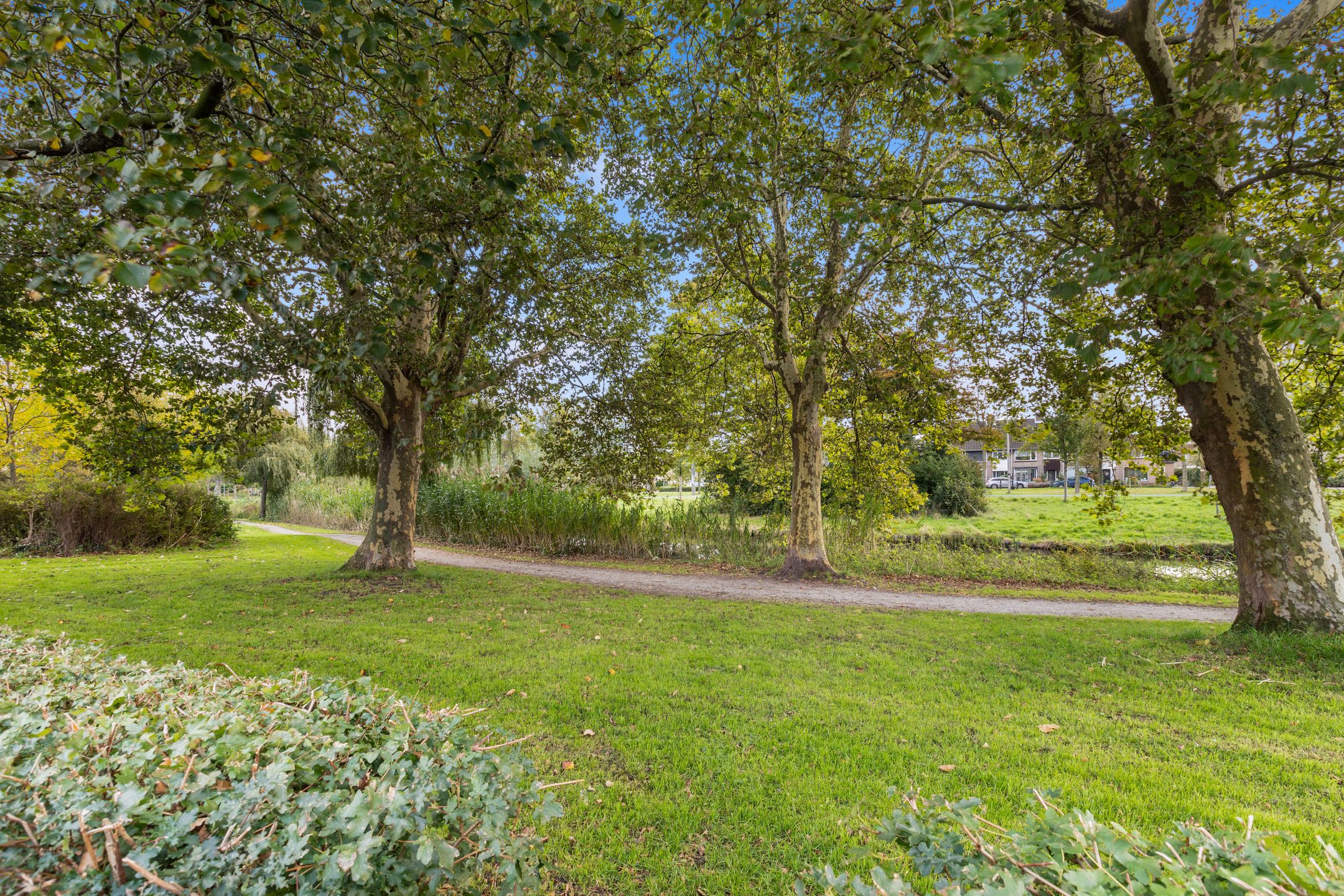 Foto 42 van Vrijburglaan 23