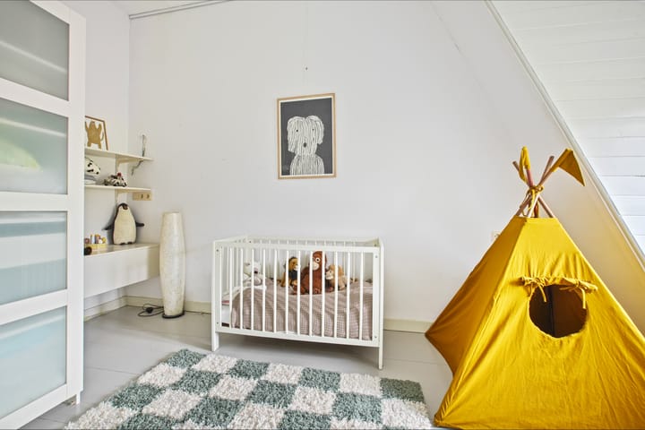 Foto 29 van Jan Luijkenstraat 86-2