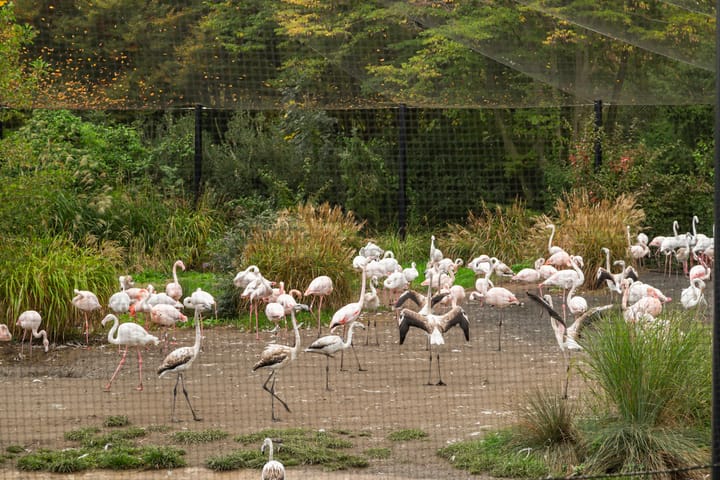 Foto 34 van Bentincklaan 386