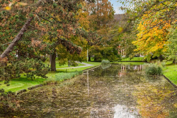 Foto 35 van Bentincklaan 386