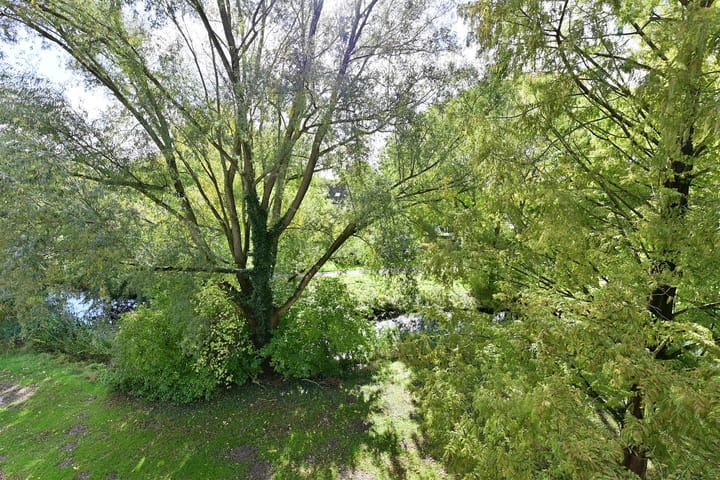 Photo 4 of Gooierserf 370