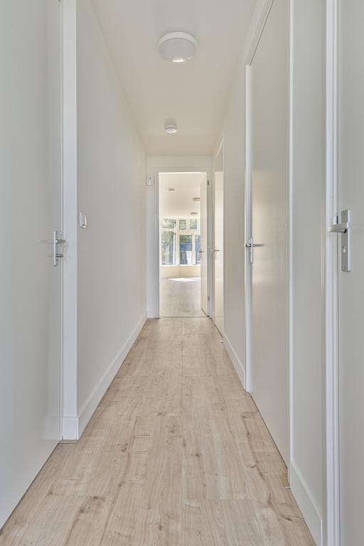 Photo 5 of Noorderbuurt 36