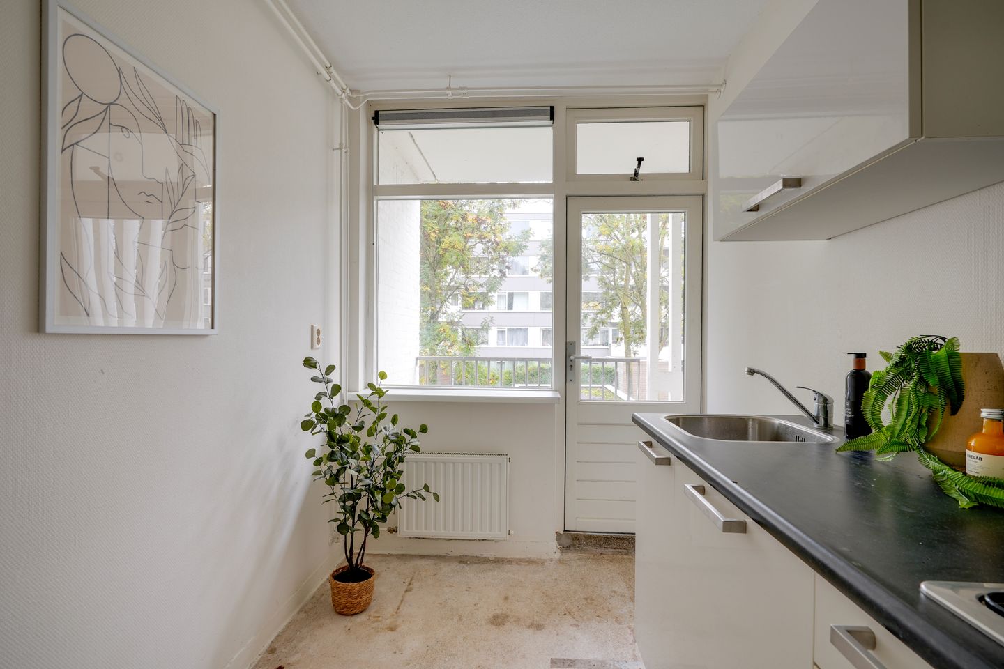 Foto 14 van Auriollaan 98