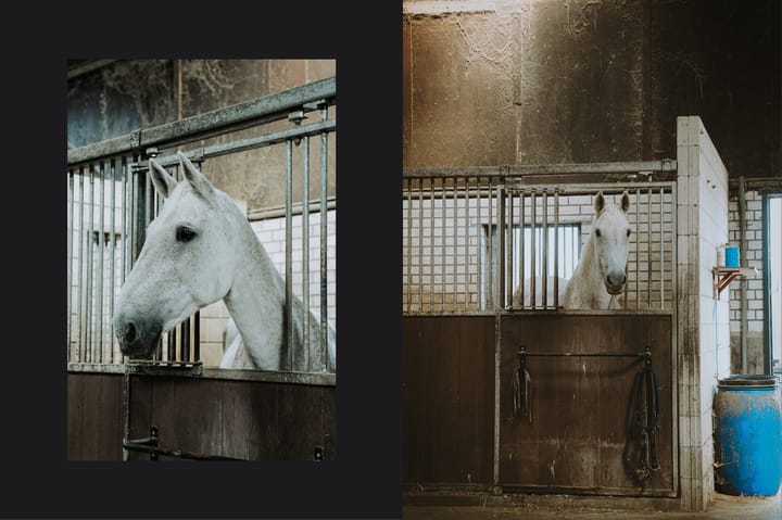 Foto 34 van Sluisweg 30