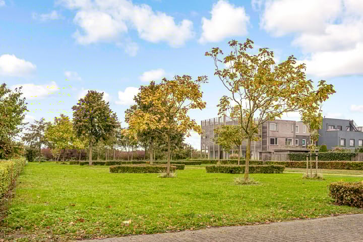 Foto 66 van Achtknoop 42