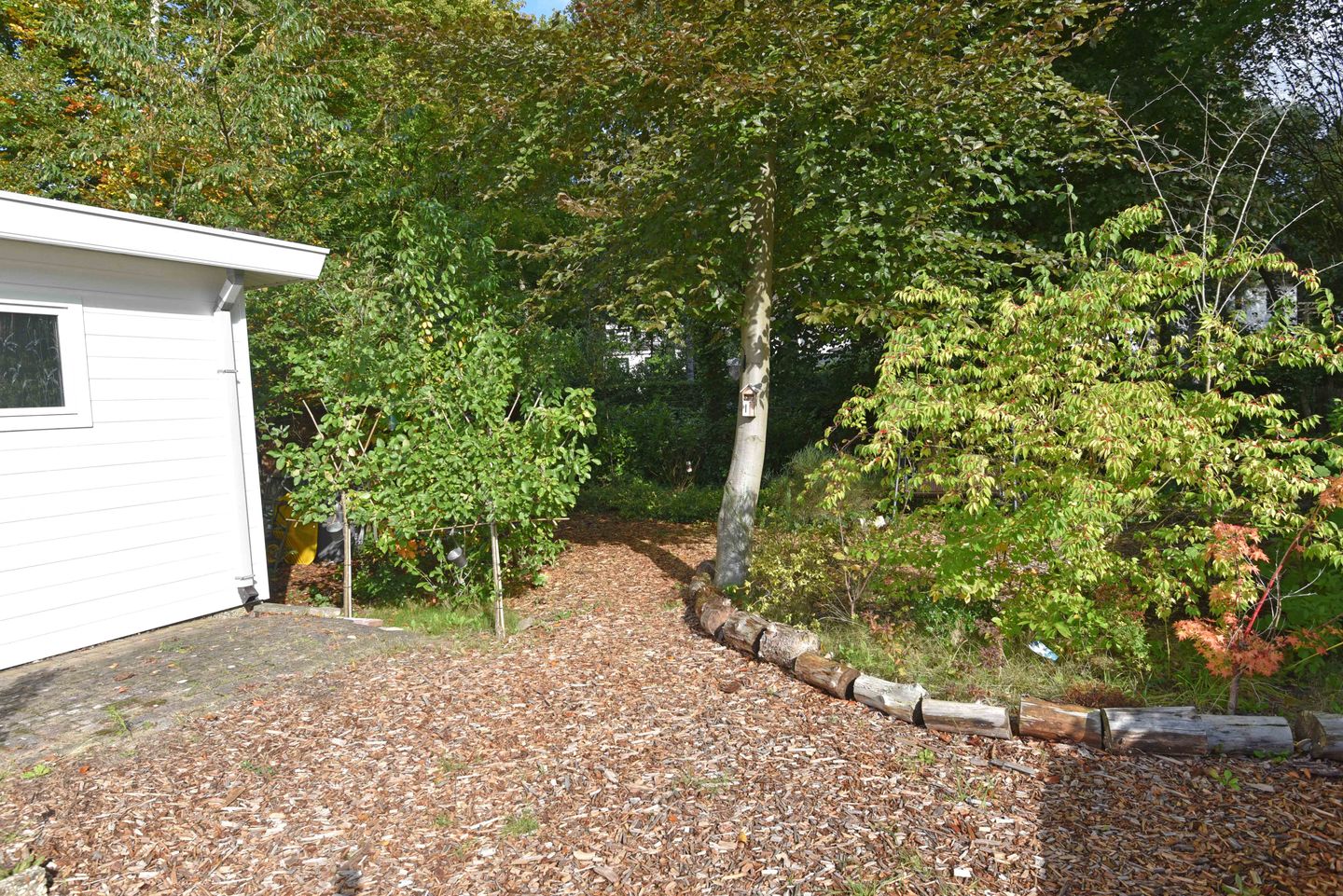 Foto 5 van Koeweg 17-304