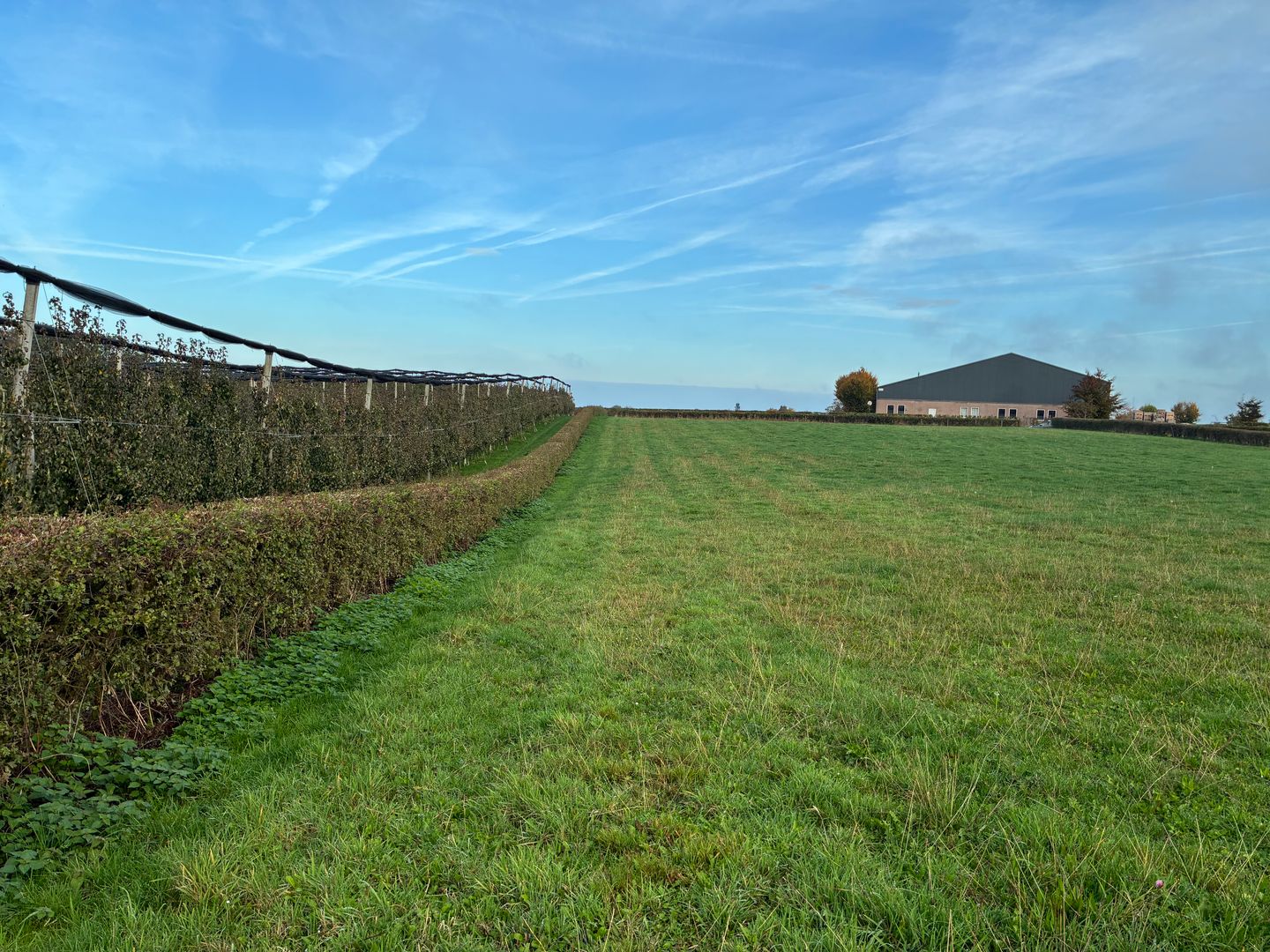 Bekijk foto 3 van Genzonweg