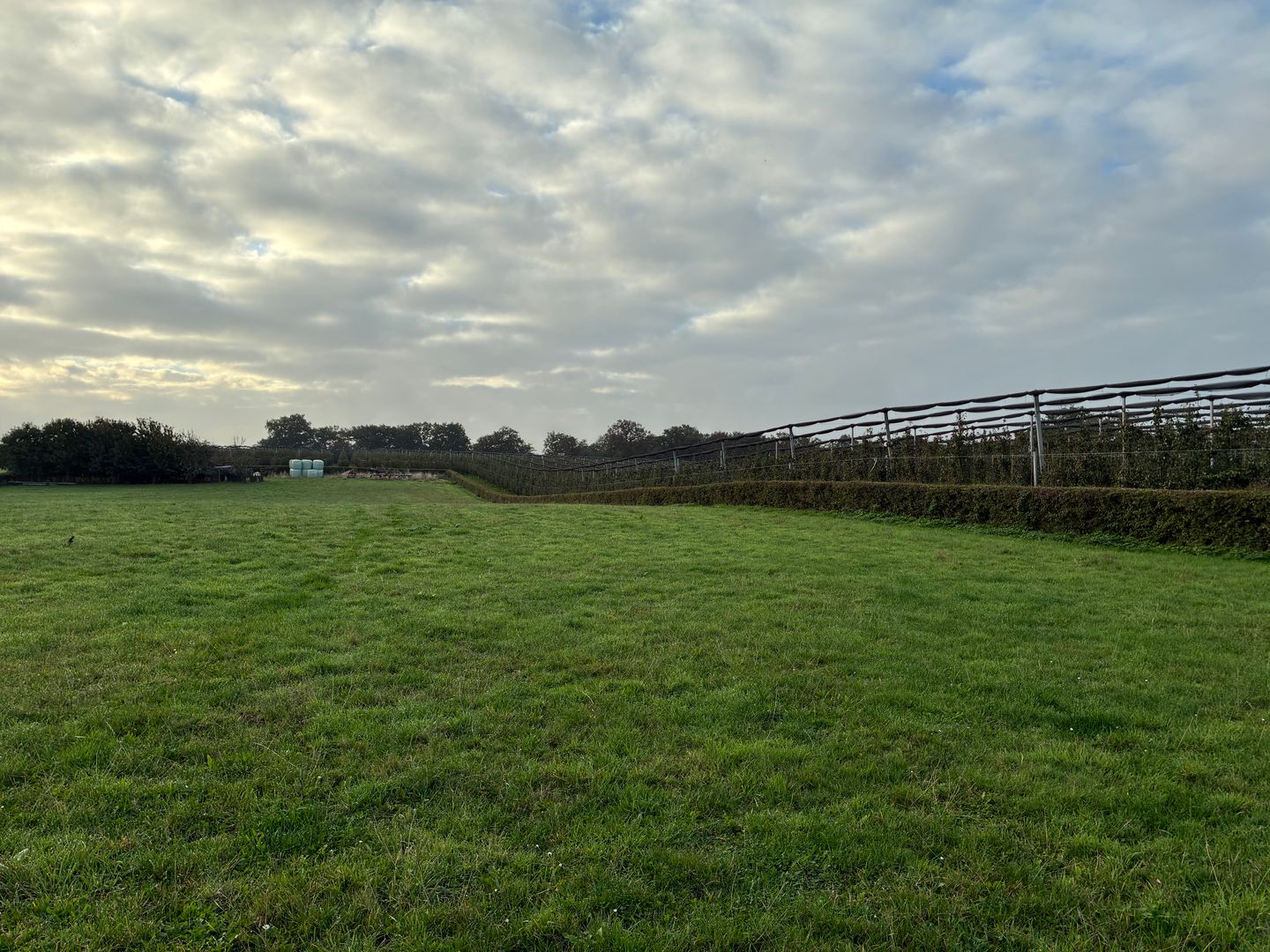 Bekijk foto 4 van Genzonweg