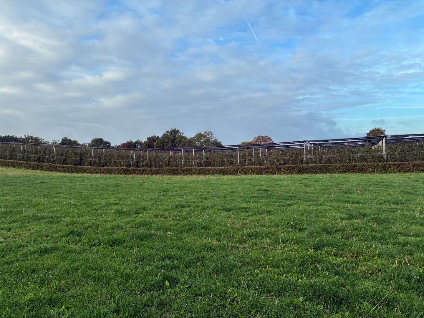 Bekijk foto 5 van Genzonweg