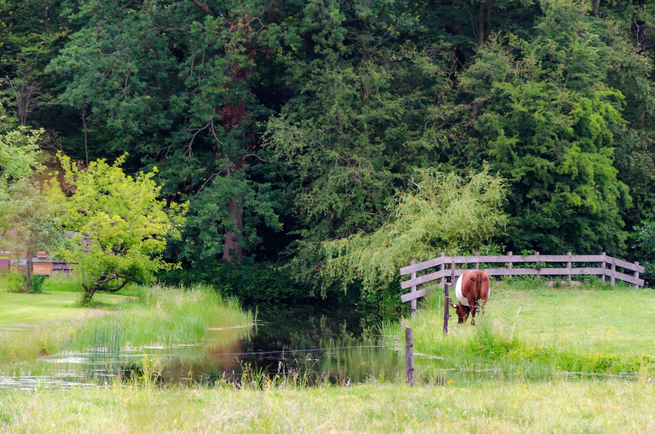 Foto 36 van Theologicum 42