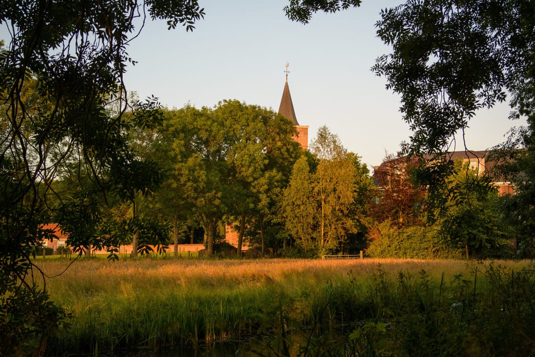 Foto 37 van Theologicum 42