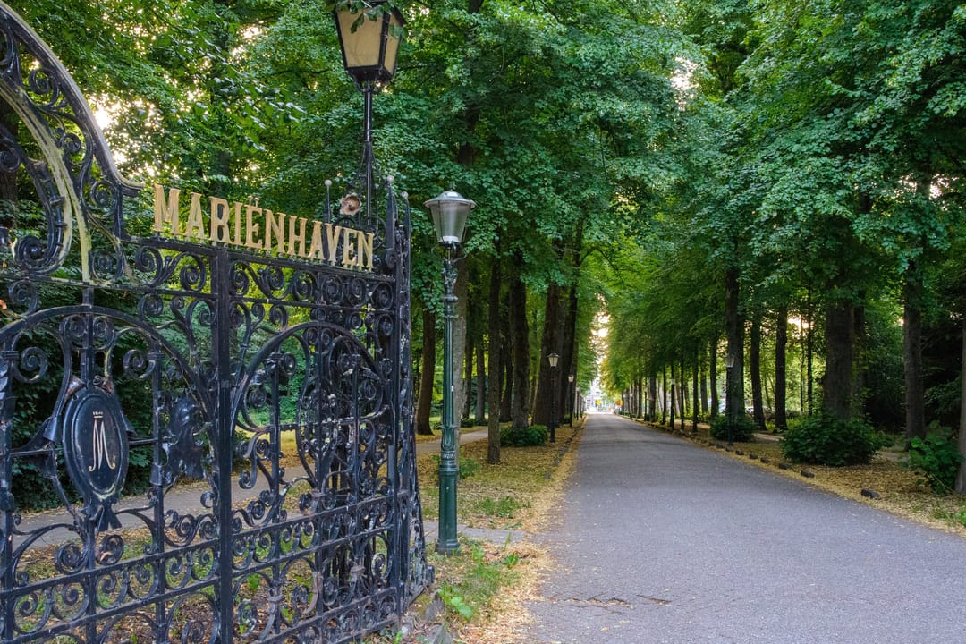 Foto 38 van Theologicum 42