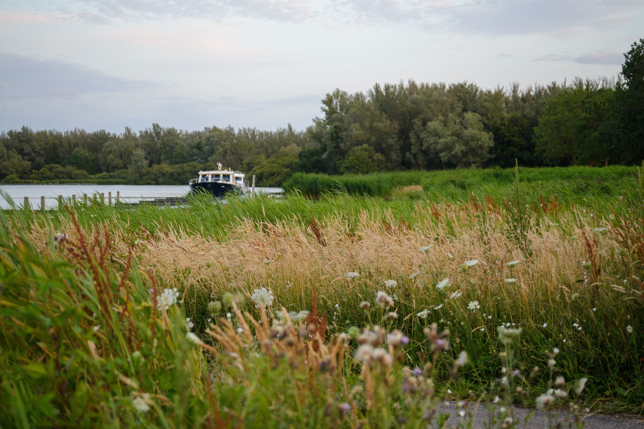 Foto 39 van Theologicum 42