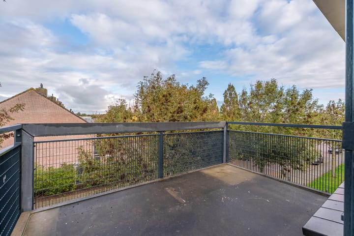 Foto 10 van Woestijnvalk 22