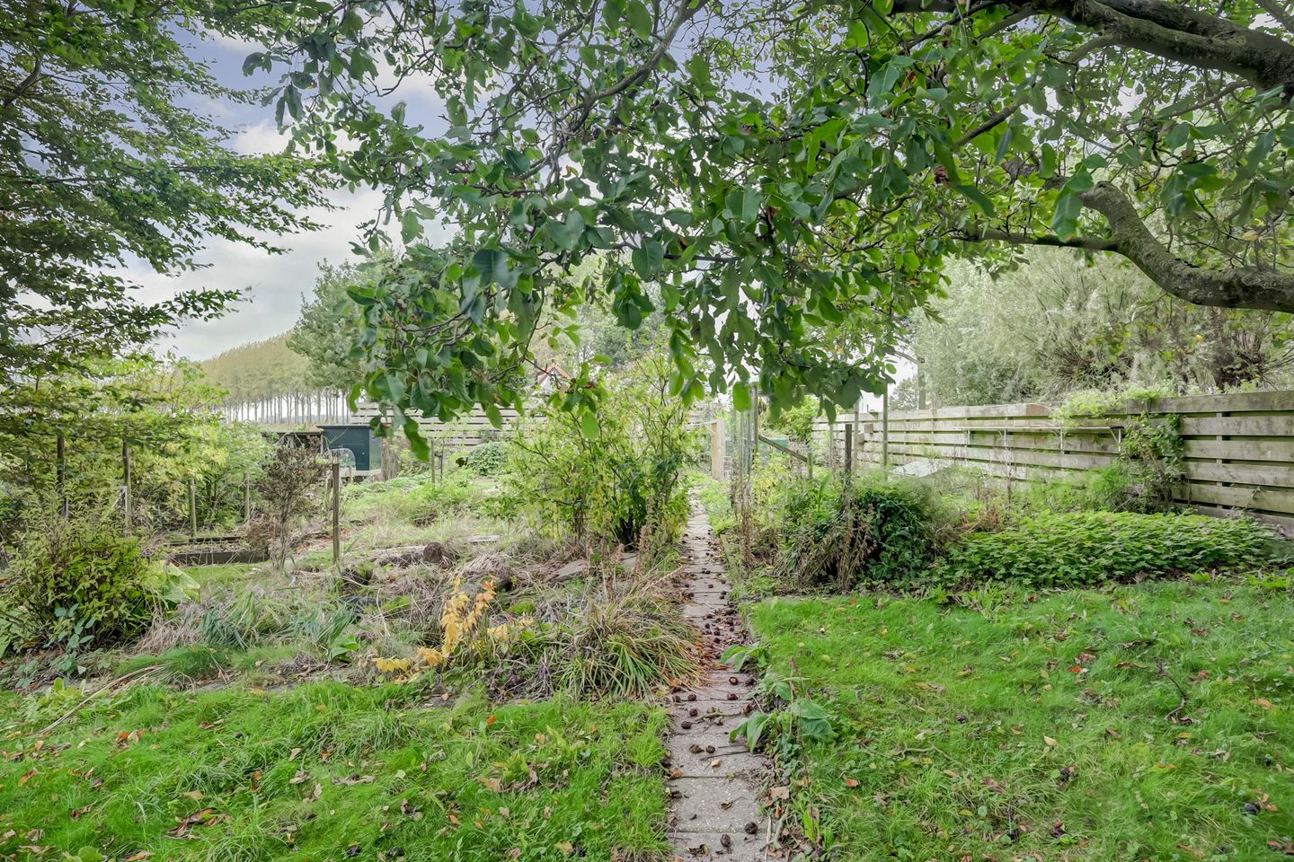 Foto 19 van Noord Kavelsedijk 4