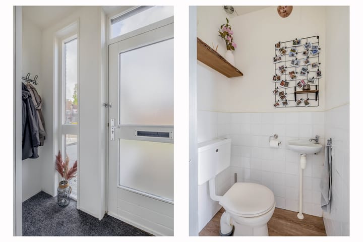 Photo 5 of Pollux 39