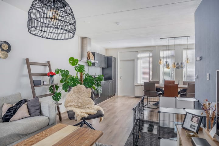 Foto 9 van Pollux 39