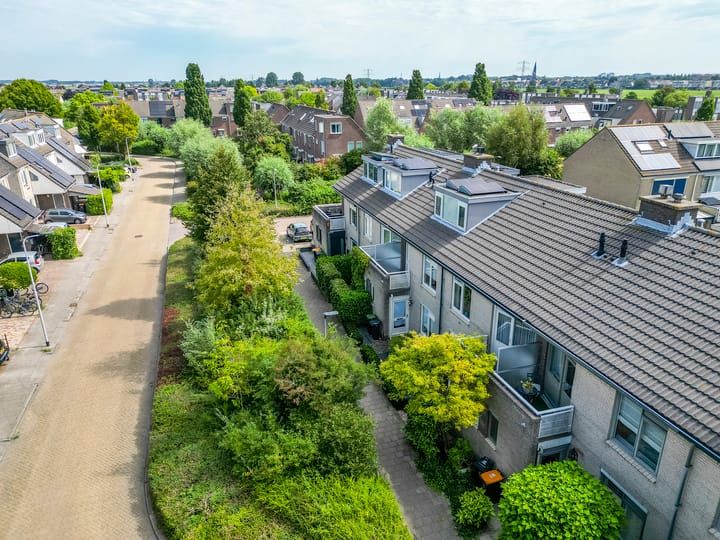 Foto 38 van Kruidenschans 114