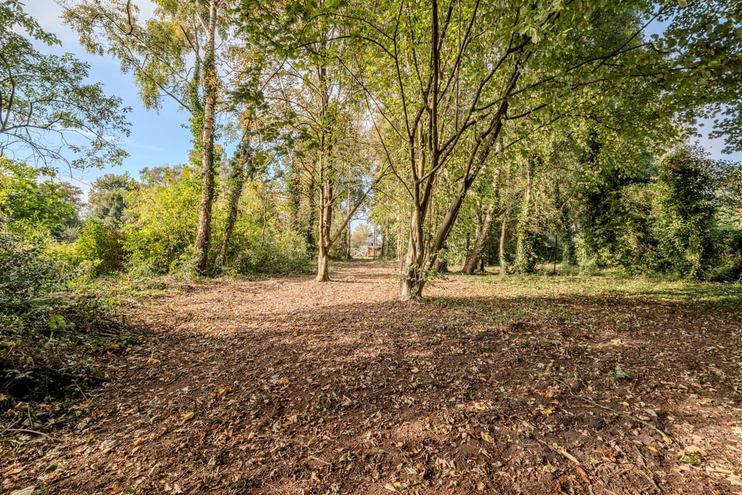 Foto 2 van Zuiderdiep 481