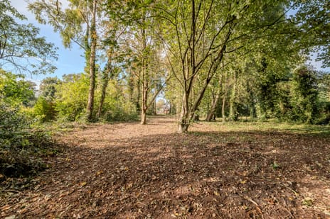 Zuiderdiep 481 secondary image