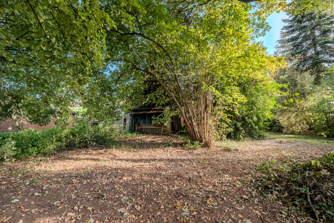 Foto 37 van Zuiderdiep 481