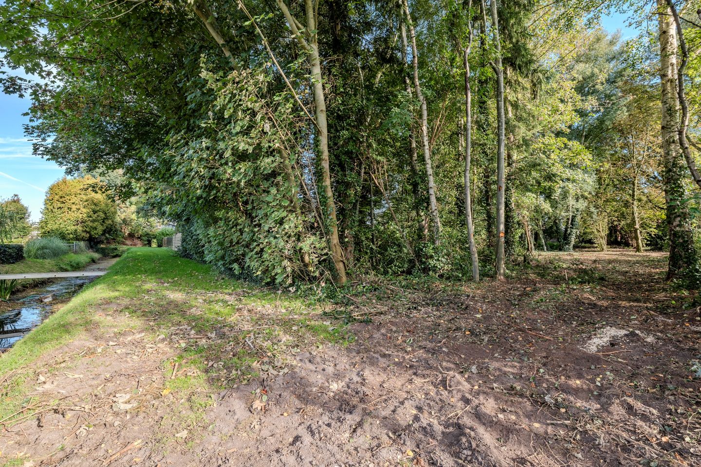 Foto 40 van Zuiderdiep 481