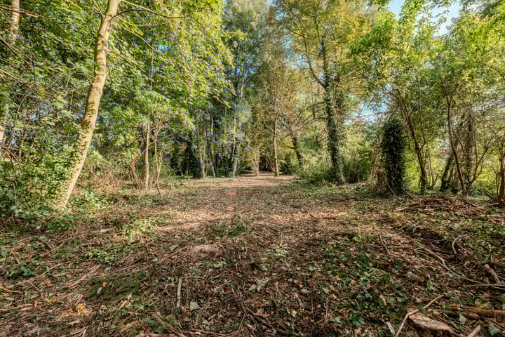 Foto 41 van Zuiderdiep 481