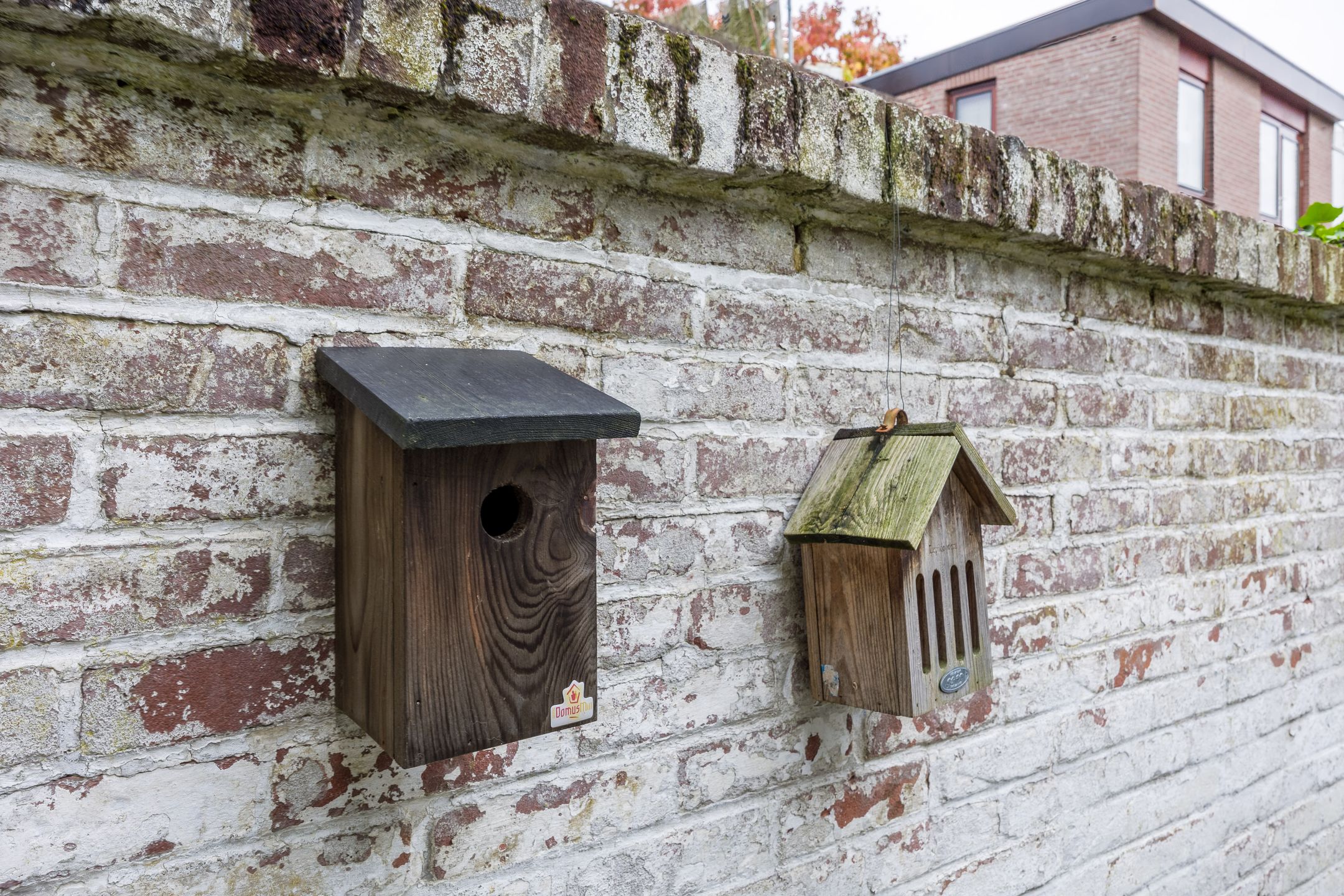 Foto 21 van Maasstraat 3