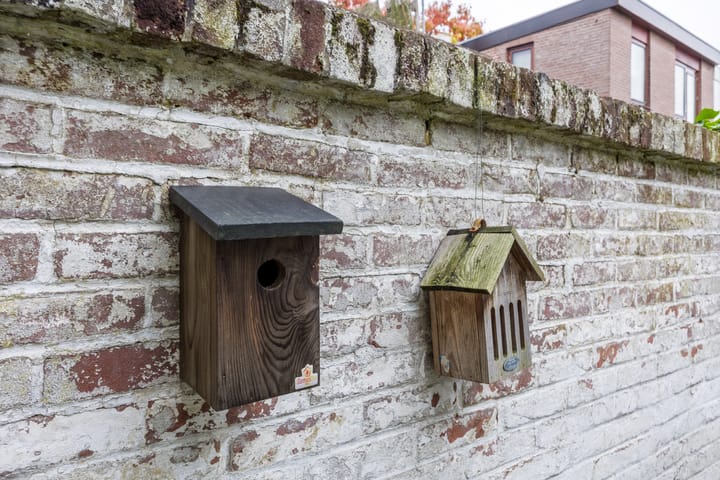 Foto 21 van Maasstraat 3