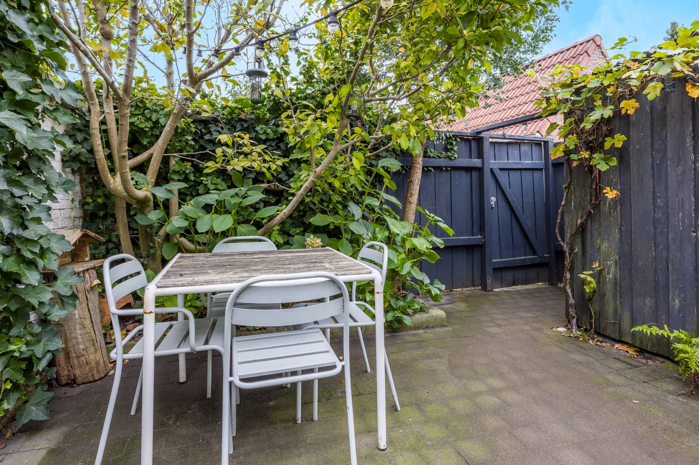 Foto 25 van Maasstraat 3