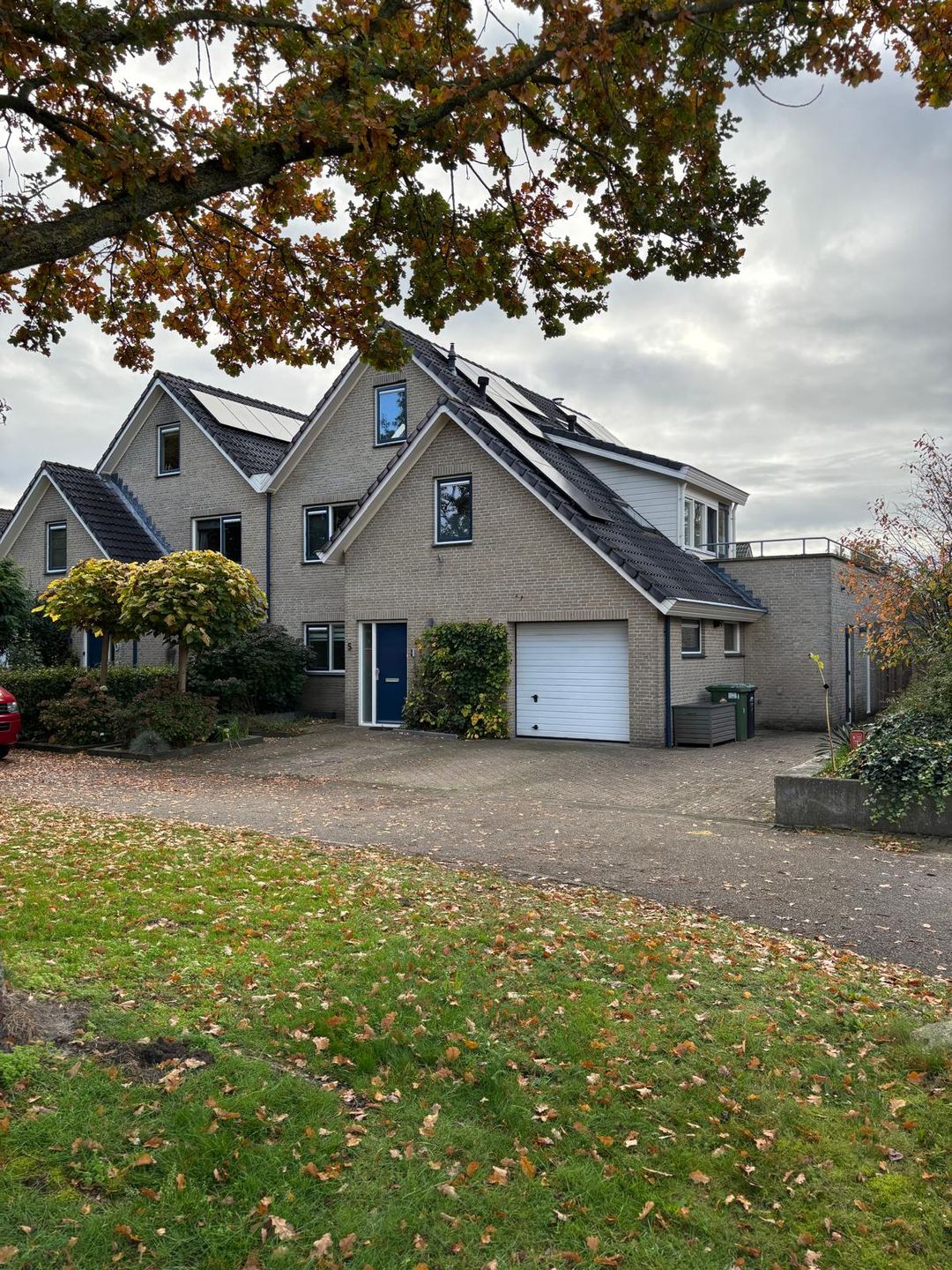 Foto 1 van Grijze Gors 5