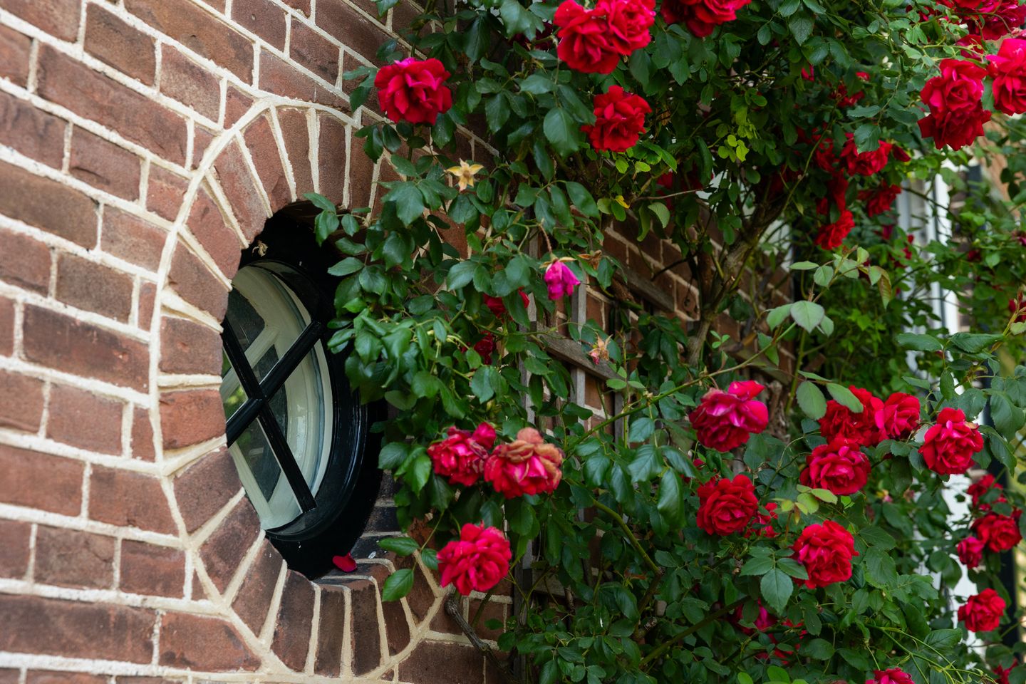 Foto 50 van Ds. E. Kreikenlaan 12