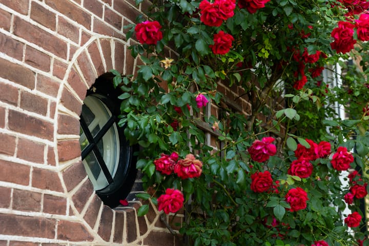 Photo 50 of Ds. E. Kreikenlaan 12