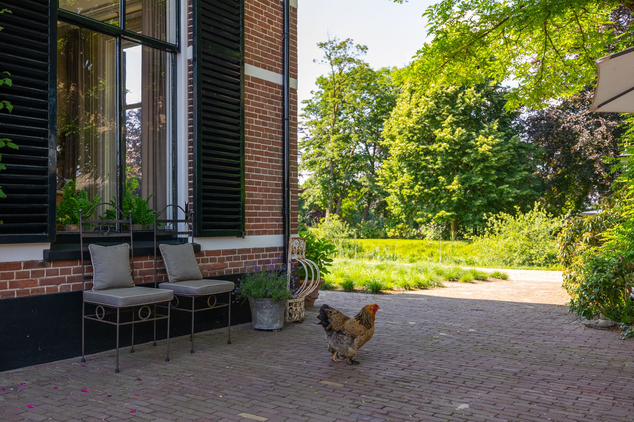 Foto 51 van Ds. E. Kreikenlaan 12